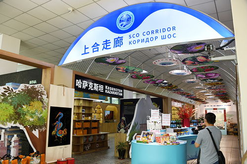 務(wù)實(shí)合作 互利共贏 中國(guó)上海合作組織地方經(jīng)貿(mào)合作示范區(qū)五周年觀察